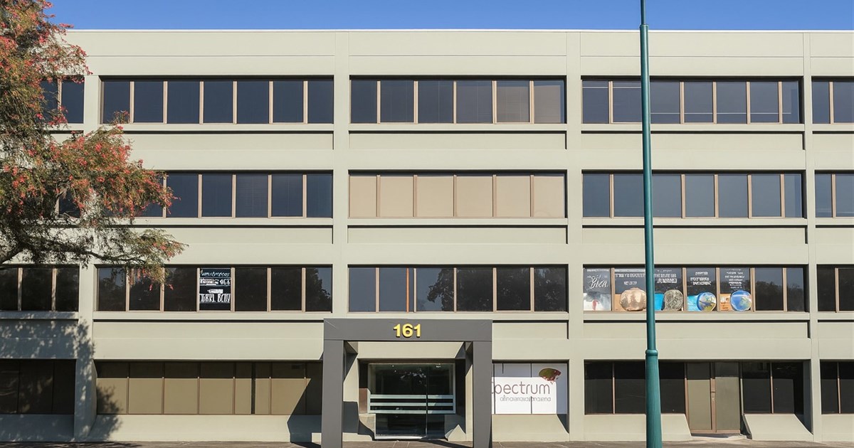 161 Bigge Street, LIVERPOOL NSW 2170